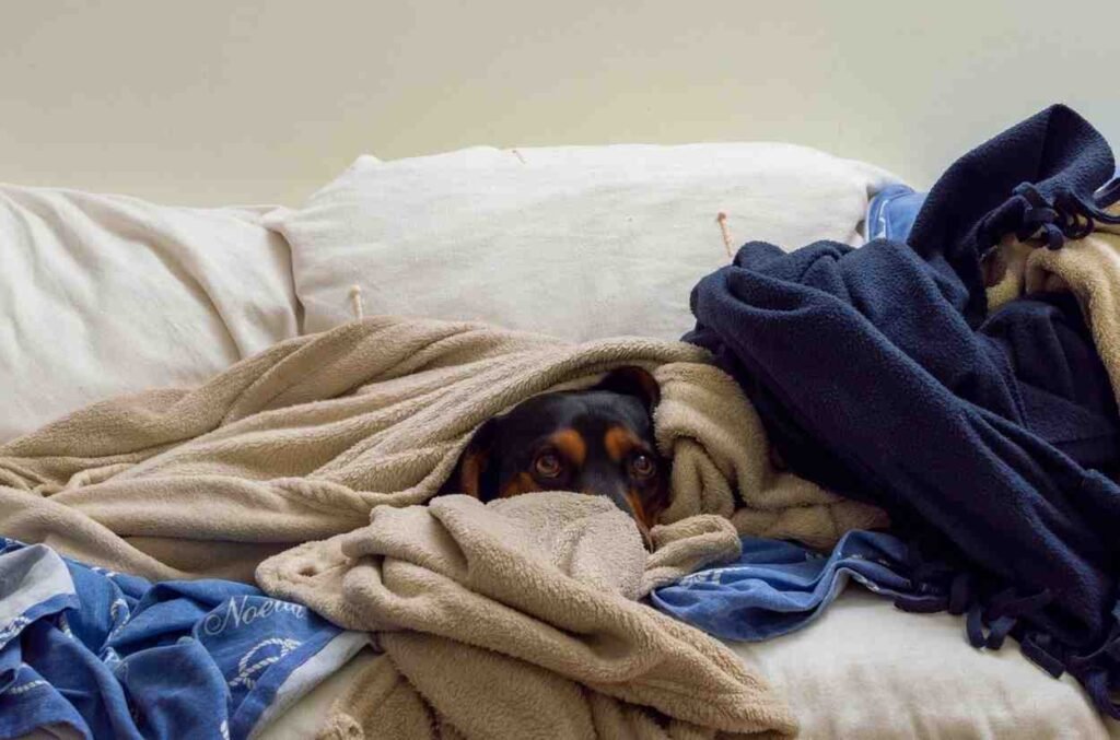 Is changing my bed sheets every two weeks gross? How often should bedsheets be changed?