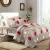 Beautiful grey, pink and red contemporary print kingsize double bedsheet